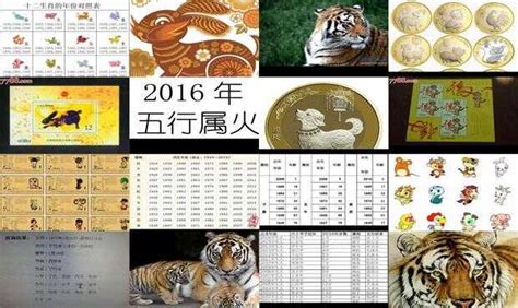 2010年生肖五行|2010年出生的属什么,2010年是什么生肖